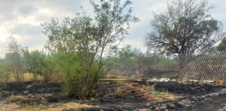 Faith & Hope Foundation Garden Destroyed by Fire