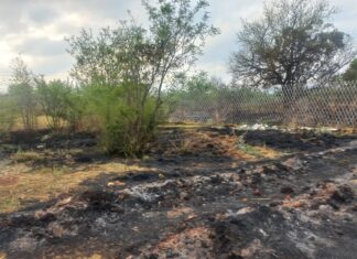 Faith & Hope Foundation Garden Destroyed by Fire